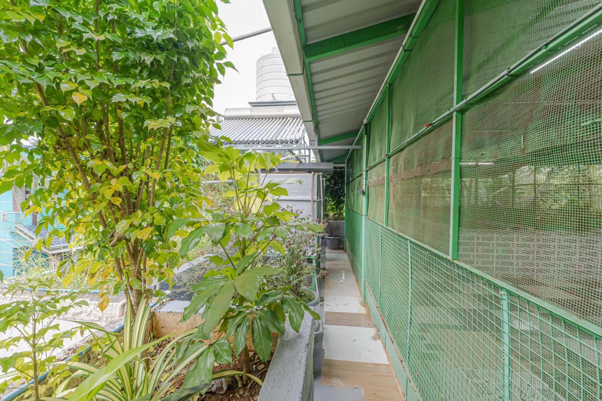 Udupi Homestay Garden Villa Ngoại thất bức ảnh